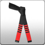 Kempo_9Dan_280