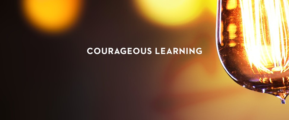 courageous learning documentary cover image of lightbulb